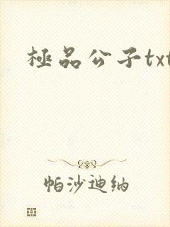 极品公子txt