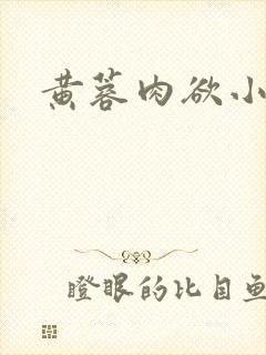 黄蓉肉欲小说