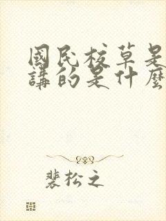 国民校草是女生讲的是什么