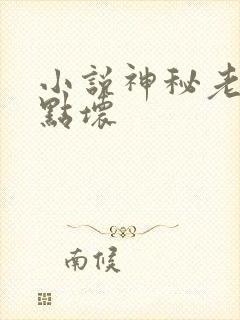 小说神秘老公有点坏封面