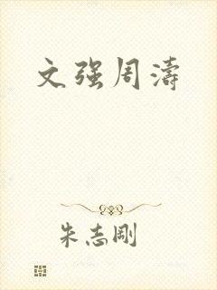 文强周涛