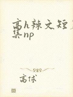高h辣文短篇合集np