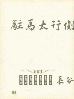 驻马太行侧