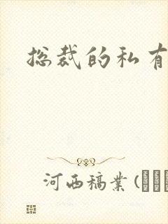 总裁的私有宝贝封面