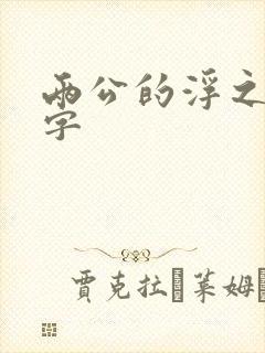 两公的浮之手中字封面
