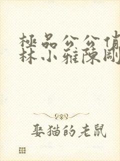 极品公公俏儿媳林小雅陈刚免费阅读