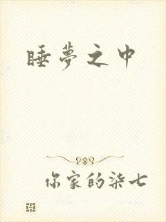 睡梦之中封面