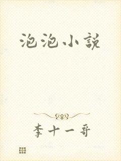 泡泡小说