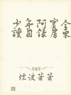 少年阿宾全文阅读目录房东