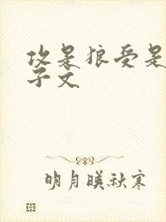 攻是狼受是人生子文封面