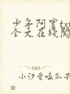 少年阿宾txt全文在线阅读封面