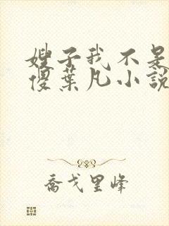 嫂子我不是真的傻叶凡小说免费阅读