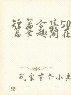 短篇合集500篇笔趣阁在线阅读全文金莲封面