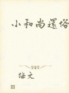 小和尚还俗记封面