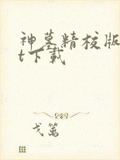神墓精校版txt下载