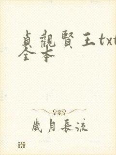 贞观贤王txt全本封面