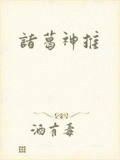 诸葛神推封面