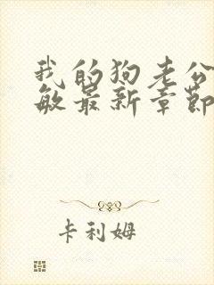 我的狗老公张淑敏最新章节免费阅读