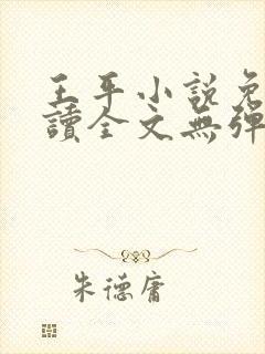 王平小说免费阅读全文无弹窗封面