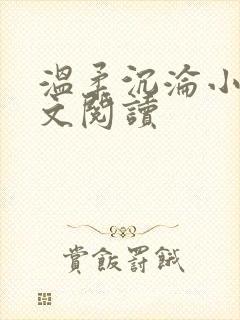 温柔沉沦小说全文阅读封面