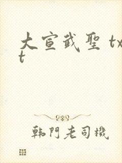 大宣武圣 txt