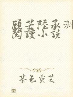 顾芒陆承洲全文阅读小说