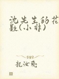沈先生的花式调数(小非)