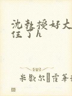 沈教授好大含不住了h