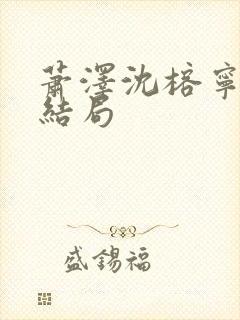 萧泽沈榕宁番外结局