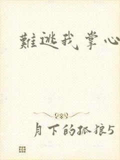 难逃我掌心