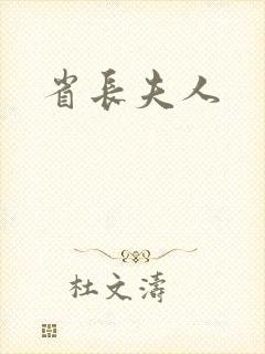 省长夫人