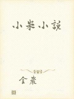 小米小说