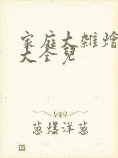 家庭大杂烩小说大全儿封面