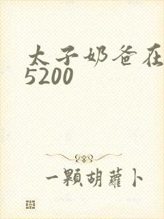 太子奶爸在花都5200