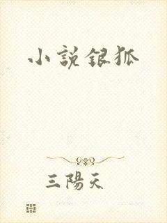 小说银狐