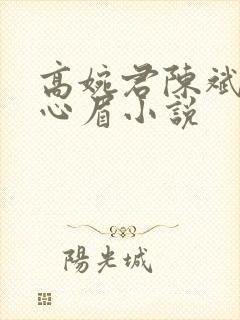 高婉君陈斌和赵心眉小说