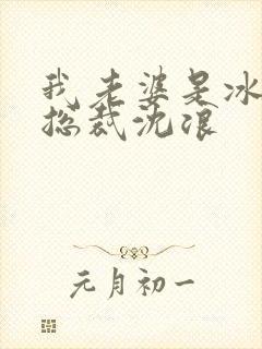 我老婆是冰山女总裁沈浪