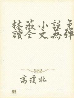 林薇小说免费阅读全文无弹窗