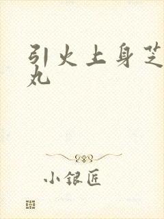 引火上身芝麻糖丸