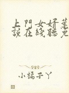 上门女婿叶辰小说在线听免费封面