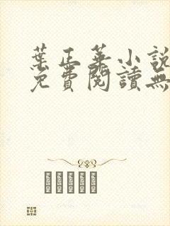叶正华小说全文免费阅读无弹窗