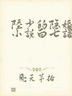 陆少的隐婚罪妻小说白七诺