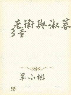 老卫与淑蓉第13章封面