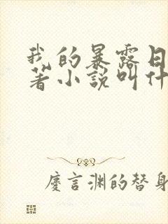 我的暴露日记原著小说叫什么