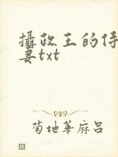 摄政王的侍爱逃妻txt
