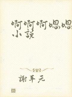 啊啊啊嗯嗯嗯的小说