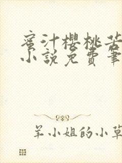 蜜汁樱桃苦咖啡小说免费笔趣阁封面