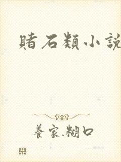 赌石类小说
