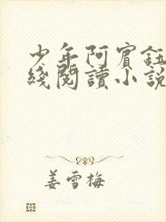 少年阿宾钰慧在线阅读小说txt封面