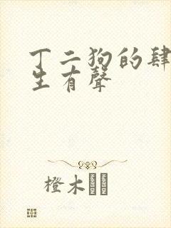 丁二狗的肆意人生有声